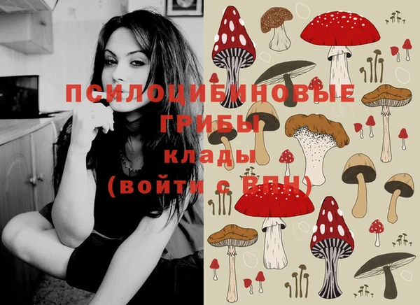 синтетический гашиш Алексин