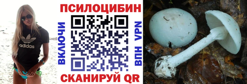 Псилоцибиновые грибы мицелий  Ардатов 